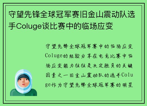 守望先锋全球冠军赛旧金山震动队选手Coluge谈比赛中的临场应变